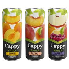 Cappy 330 ML